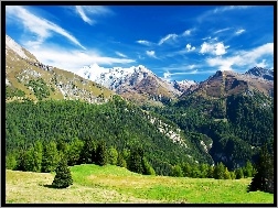 Łąka, Austriackie, Alpy, Lasy
